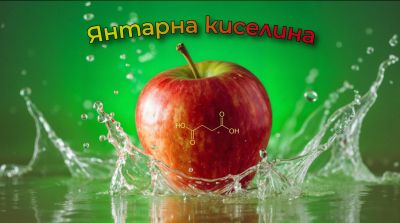 Какво не знаем за Янтарната киселина и ползите от нея ?
