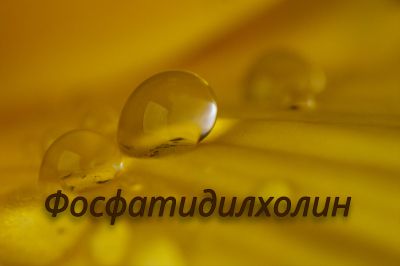 Фосфатидилхолин (PC)