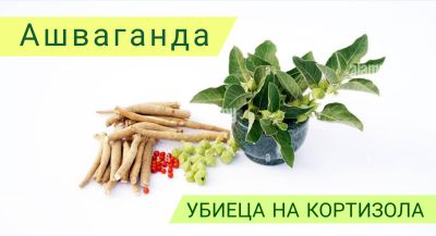 Ашваганда - Убиеца на кортизола